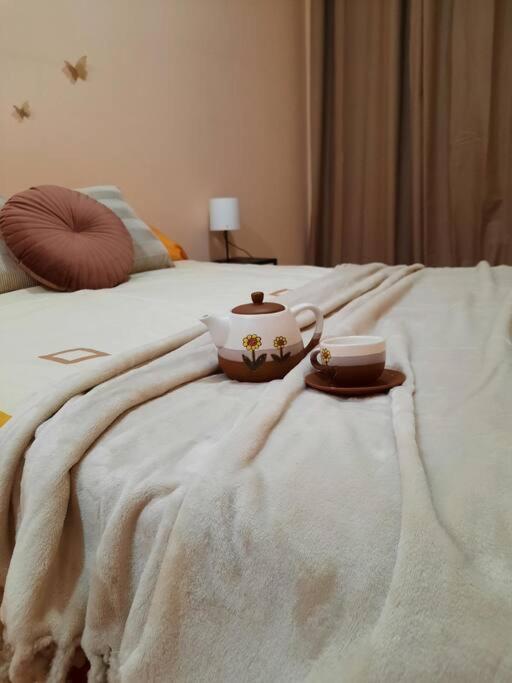 Bem Acogedora Y Muy Centrica Apartment Zamora Ngoại thất bức ảnh