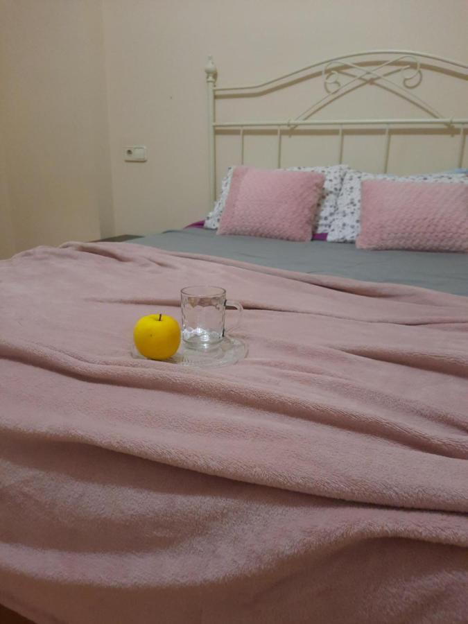 Bem Acogedora Y Muy Centrica Apartment Zamora Ngoại thất bức ảnh